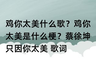 雞你太美什么歌？雞你太美是什么梗？蔡徐坤只因你太美 歌詞
