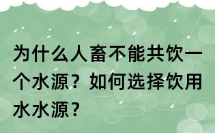 為什么人畜不能共飲一個水源？如何選擇飲用水水源？