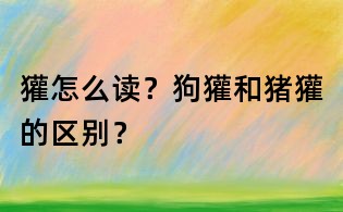 獾怎么讀?狗獾和豬獾的區(qū)別?