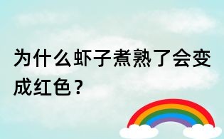 為什么蝦子煮熟了會變成紅色?