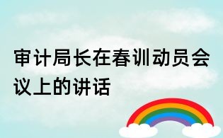 審計(jì)局長(zhǎng)在春訓(xùn)動(dòng)員會(huì)議上的講話(huà)