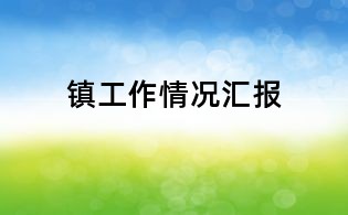鎮(zhèn)工作情況匯報