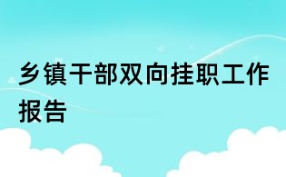 鄉(xiāng)鎮(zhèn)干部雙向掛職工作報告
