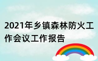2021年鄉鎮森林防火工作會議工作報告