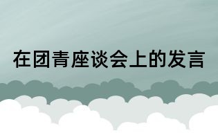 在團青座談會上的發言