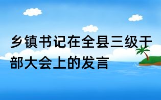 鄉鎮書記在全縣三級干部大會上的發言