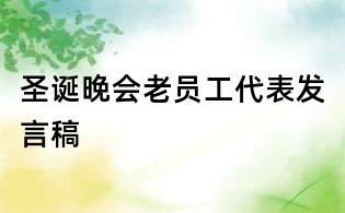圣誕晚會老員工代表發(fā)言稿