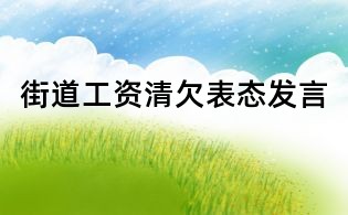 街道工資清欠表態(tài)發(fā)言