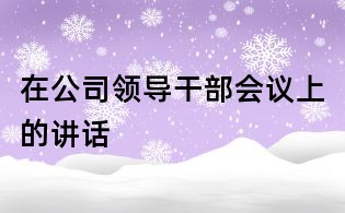 在公司領(lǐng)導(dǎo)干部會(huì)議上的講話(huà)