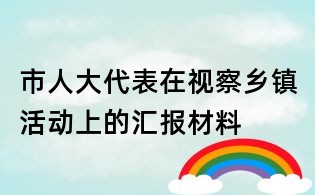 市人大代表在視察鄉鎮活動上的匯報材料