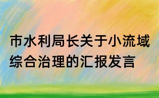市水利局長關于小流域綜合治理的匯報發言