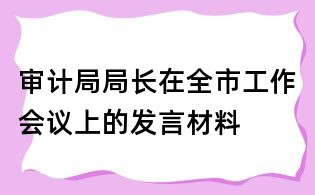 審計局局長在全市工作會議上的發(fā)言材料