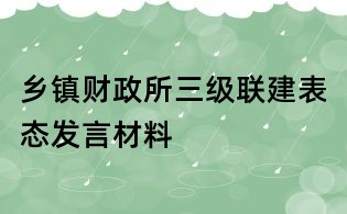 鄉鎮財政所三級聯建表態發言材料