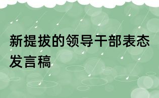 新提拔的領導干部表態發言稿