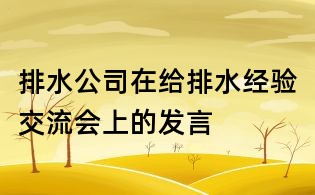 排水公司在給排水經(jīng)驗交流會上的發(fā)言