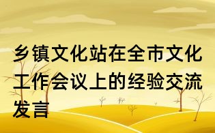 鄉鎮文化站在全市文化工作會議上的經驗交流發言