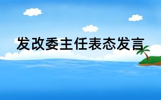 發改委主任表態發言