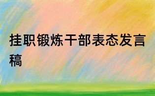 掛職鍛煉干部表態發言稿