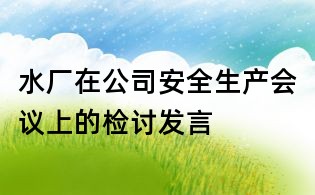 水廠在公司安全生產(chǎn)會議上的檢討發(fā)言