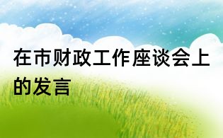 在市財政工作座談會上的發言