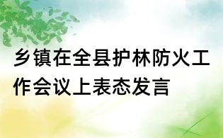 鄉鎮在全縣護林防火工作會議上表態發言