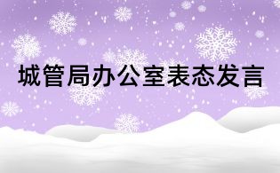 城管局辦公室表態發言