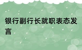 銀行副行長就職表態發言