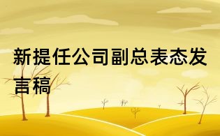新提任公司副總表態發言稿