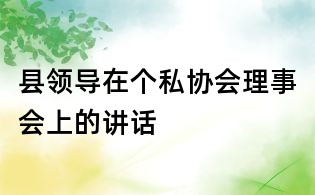 縣領導在個私協(xié)會理事會上的講話