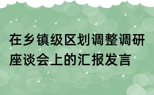 在鄉鎮級區劃調整調研座談會上的匯報發言