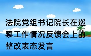 法院黨組書記院長在巡察工作情況反饋會上的整改表態發言