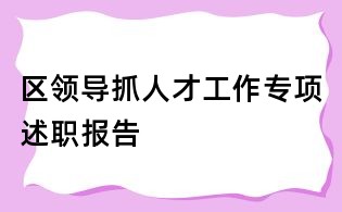 區(qū)領(lǐng)導(dǎo)抓人才工作專項述職報告