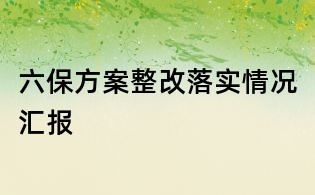 六保方案整改落實情況匯報