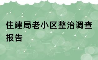 住建局老小區整治調查報告