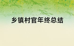 鄉(xiāng)鎮(zhèn)村官年終總結(jié)
