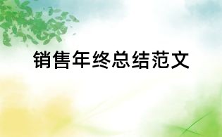 銷(xiāo)售年終總結(jié)范文