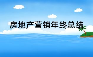 房地產(chǎn)營銷年終總結(jié)