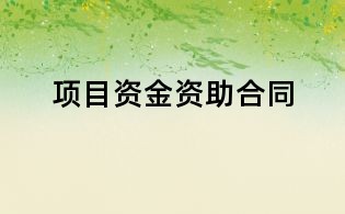 項目資金資助合同