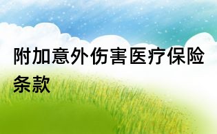 附加意外傷害醫療保險條款
