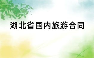 湖北省國內旅游合同