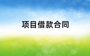 項目借款合同