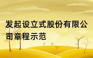 發起設立式股份有限公司章程示范