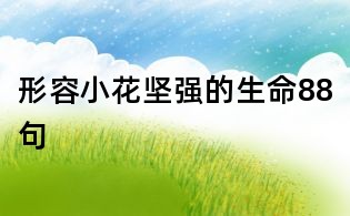 形容小花堅強的生命88句