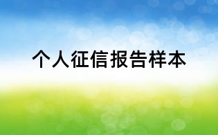 個人征信報(bào)告樣本