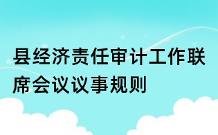 縣經濟責任審計工作聯席會議議事規則