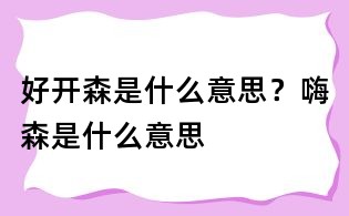 好開森是什么意思？嗨森是什么意思
