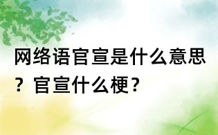 網絡語官宣是什么意思？官宣什么梗？