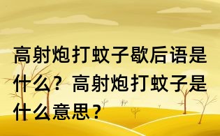 高射炮打蚊子歇后語是什么？高射炮打蚊子是什么意思？