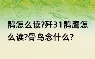 鶻怎么讀?殲31鶻鷹怎么讀?骨鳥念什么?