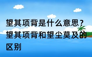 望其項背是什么意思？望其項背和望塵莫及的區別